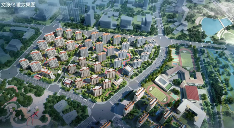 文张.png 文张.png